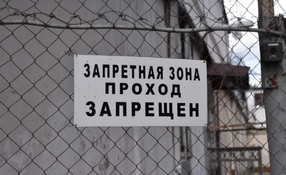 В Прикамье сотрудники ФСБ задержали незаконных рубщиков леса