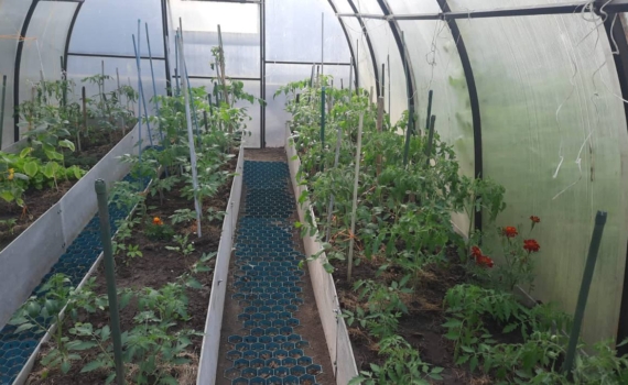 Теплица без хлопот: этот материал неожиданно оказался лучше и выгоднее — и это не поликарбонат Теплица без хлопот: этот материал неожиданно оказался лучше и выгоднее — и это не поликарбонат